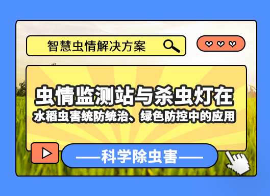 虫情监测站与杀虫灯在水稻虫害统防统治、绿色防控中的应用